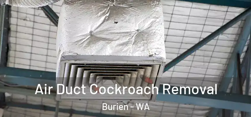  Air Duct Cockroach Removal Burien - WA