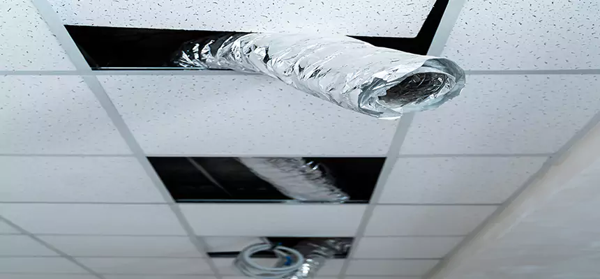 Our Air Duct Pet Hair Removal Services in Burien, WA