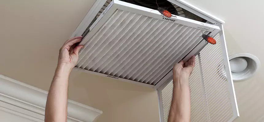 Our Insect Removal from Air Ducts Services in Burien, WA