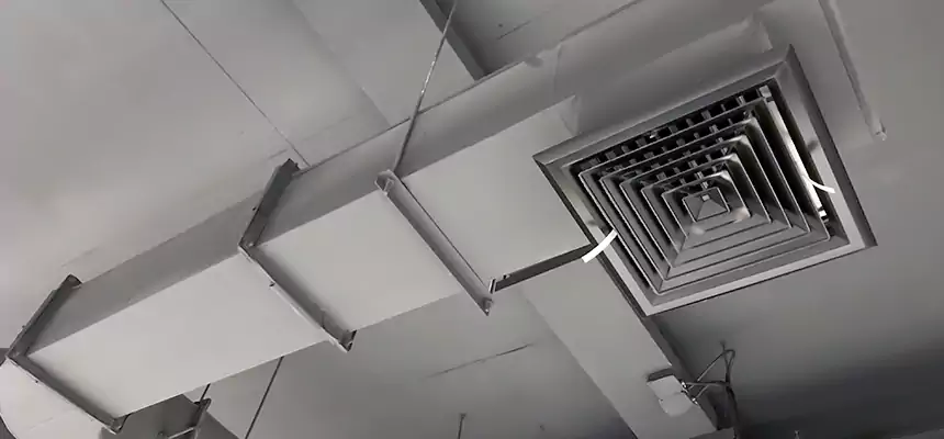 Our Pest Removal From Ducts Services in Burien, WA