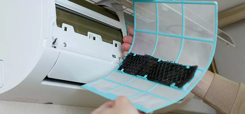 Gentle Ductwork Odor-Control Pet Dander Duct Cleaning in Burien, WA