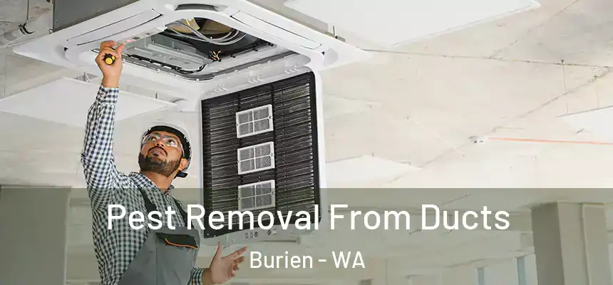  Pest Removal From Ducts Burien - WA