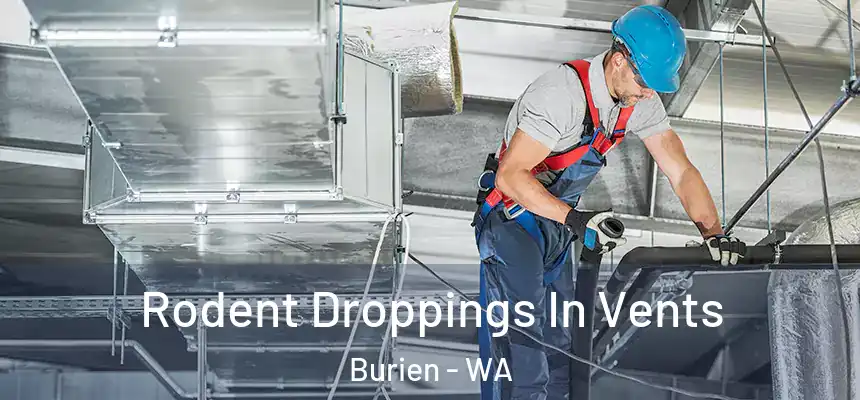 Rodent Droppings In Vents Burien - WA