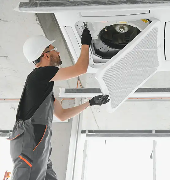 About Air Duct Rodent Removal in Burien, WA