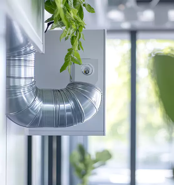 Professional Eco-Friendly Duct Cleaning Services in Burien, WA
