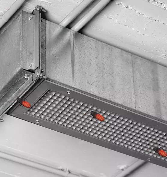 Affordable Insect Removal from Air Ducts in Burien, WA