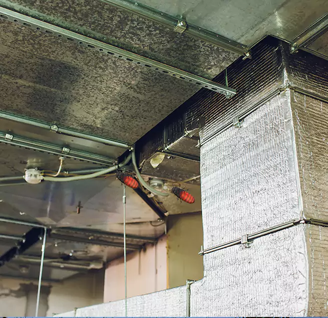 Why Homeowners & Businesses Trust Us in Burien, WA?