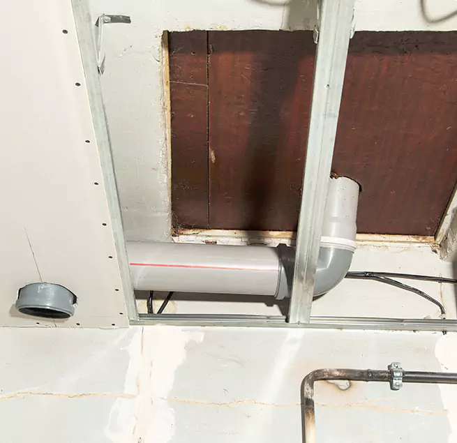 Why Homeowners & Businesses Trust Us in Burien, WA?