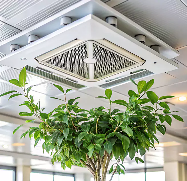 Why Homeowners & Businesses Trust Us in Burien, WA